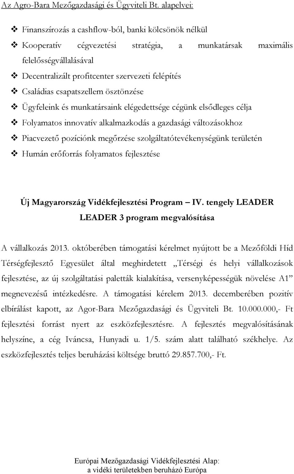 Családias csapatszellem ösztönzése Ügyfeleink és munkatársaink elégedettsége cégünk elsődleges célja Folyamatos innovatív alkalmazkodás a gazdasági változásokhoz Piacvezető pozíciónk megőrzése