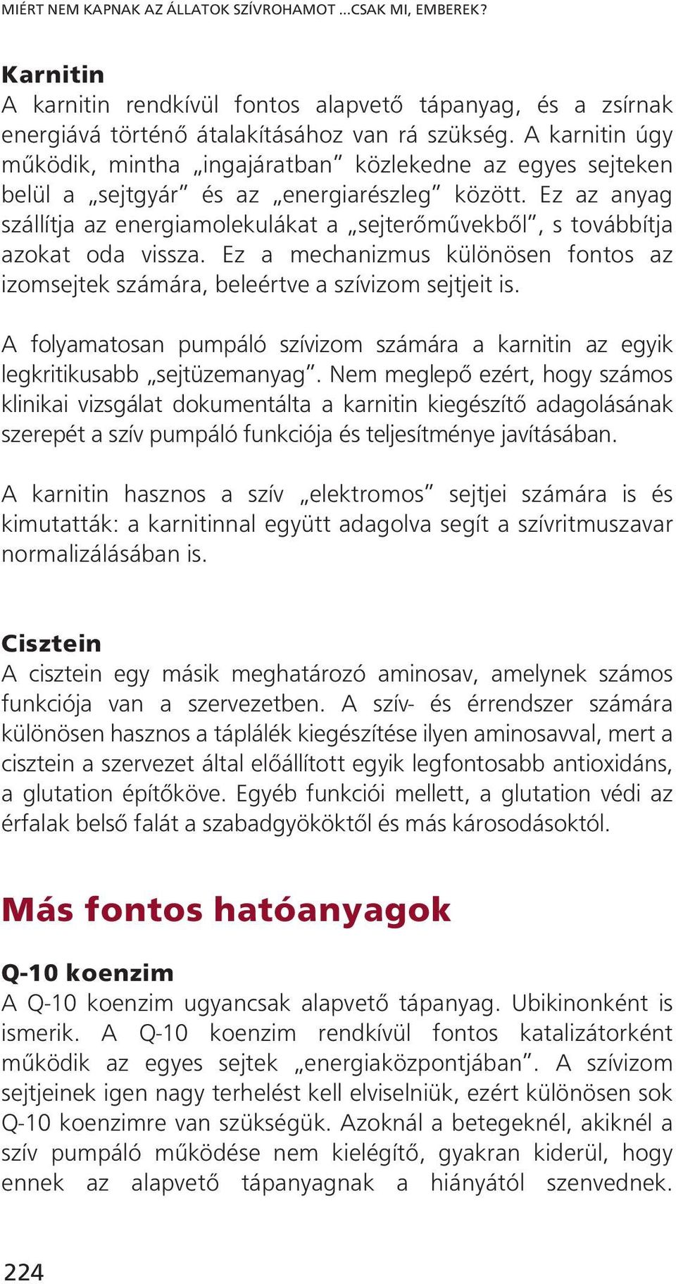 Ez az anyag szállítja az energiamolekulákat a sejterőművekből, s továbbítja azokat oda vissza. Ez a mechanizmus különösen fontos az izomsejtek számára, beleértve a szívizom sejtjeit is.