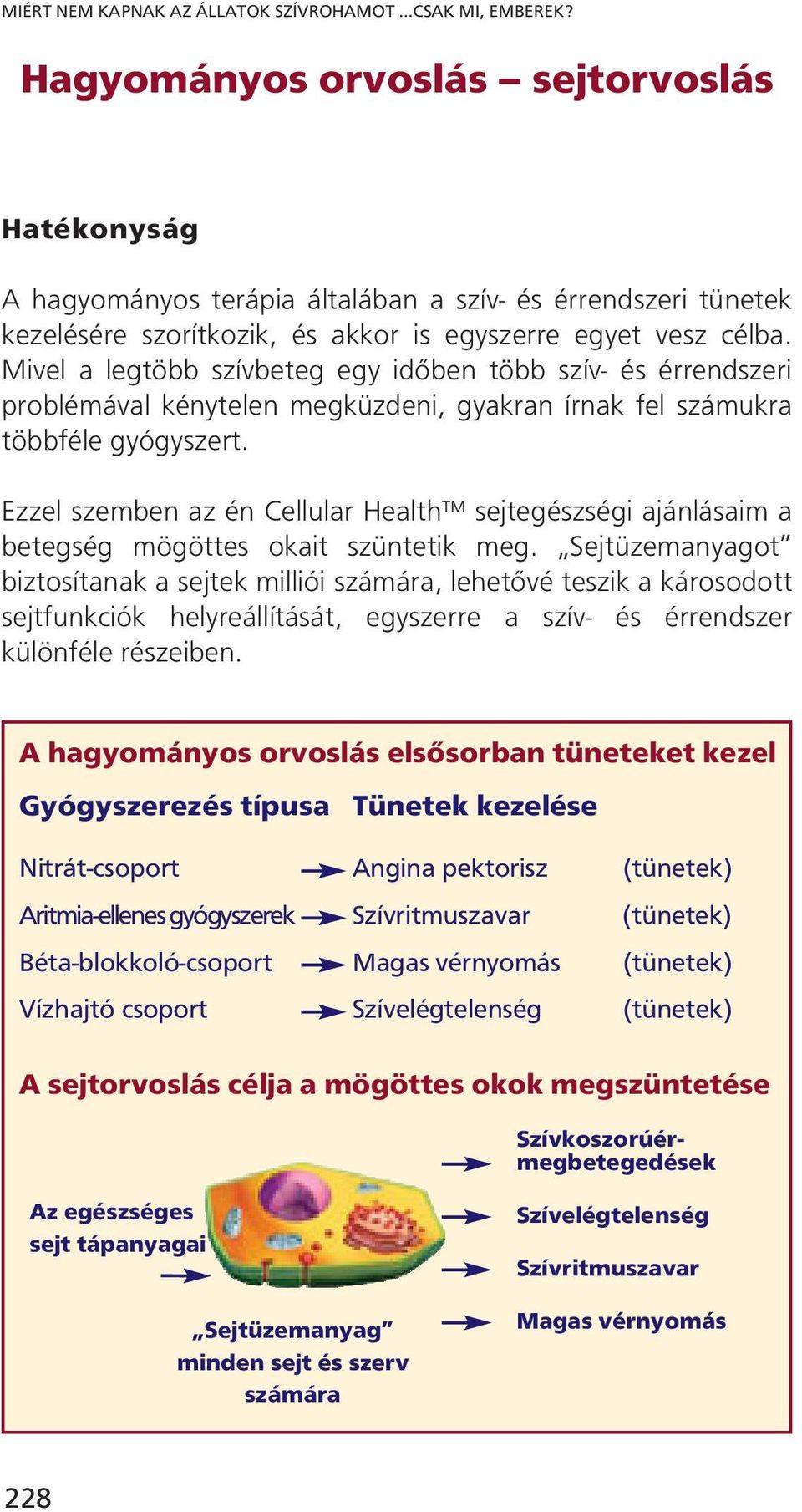 Mivel a legtöbb szívbeteg egy időben több szív- és érrendszeri problémával kénytelen megküzdeni, gyakran írnak fel számukra többféle gyógyszert.