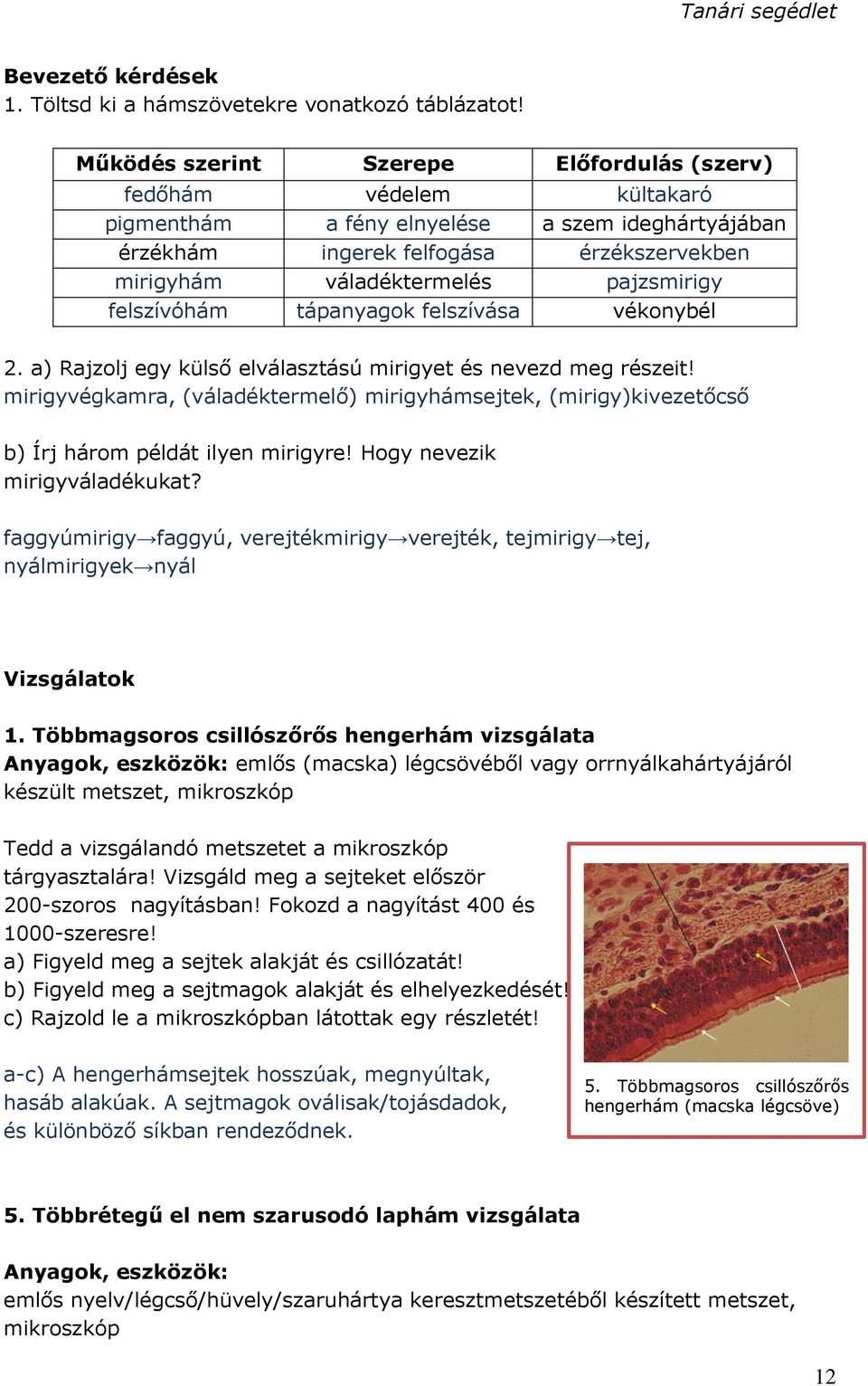 pajzsmirigy felszívóhám tápanyagok felszívása vékonybél 2. a) Rajzolj egy külső elválasztású mirigyet és nevezd meg részeit!