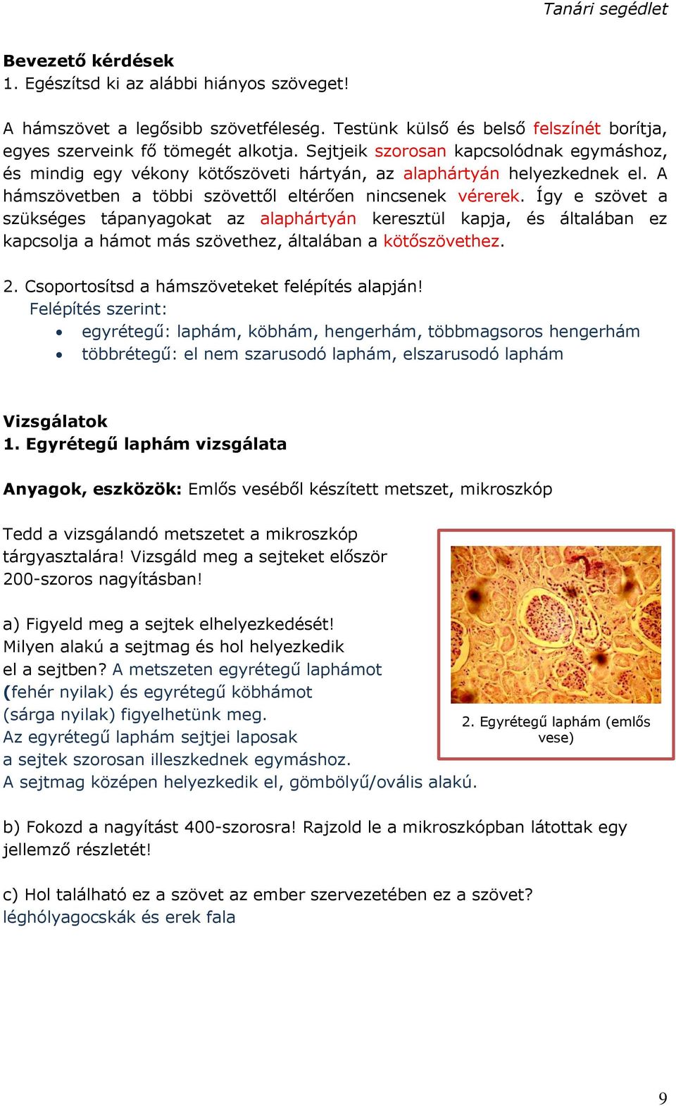 Így e szövet a szükséges tápanyagokat az alaphártyán keresztül kapja, és általában ez kapcsolja a hámot más szövethez, általában a kötőszövethez. 2. Csoportosítsd a hámszöveteket felépítés alapján!