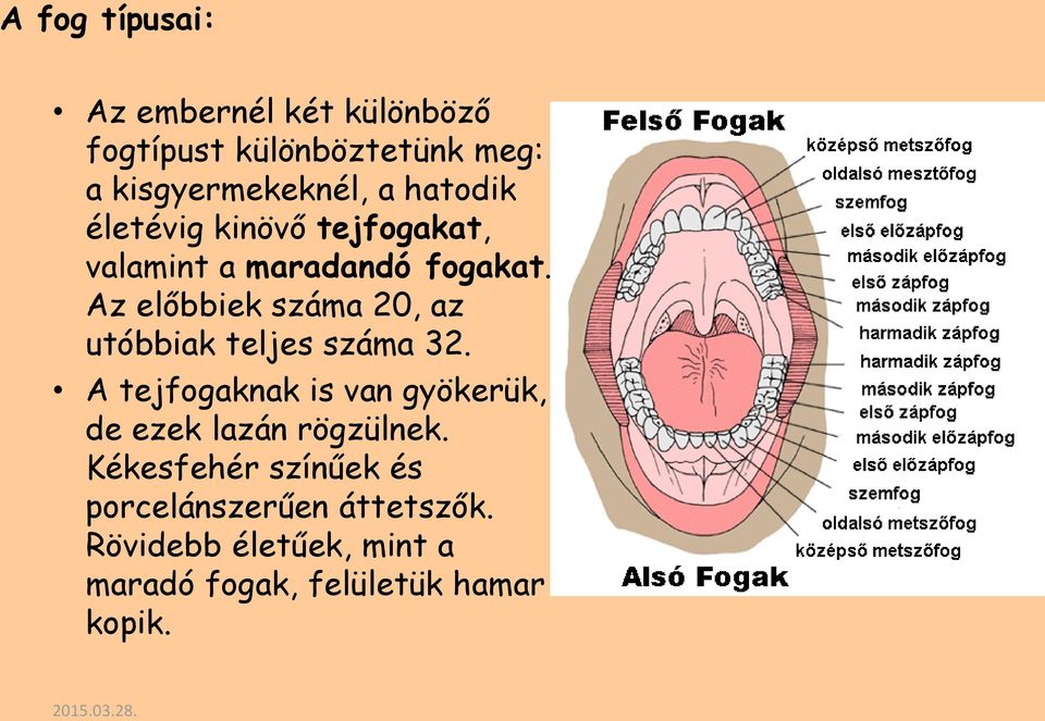 Az előbbiek száma 20, az utóbbiak teljes száma 32.