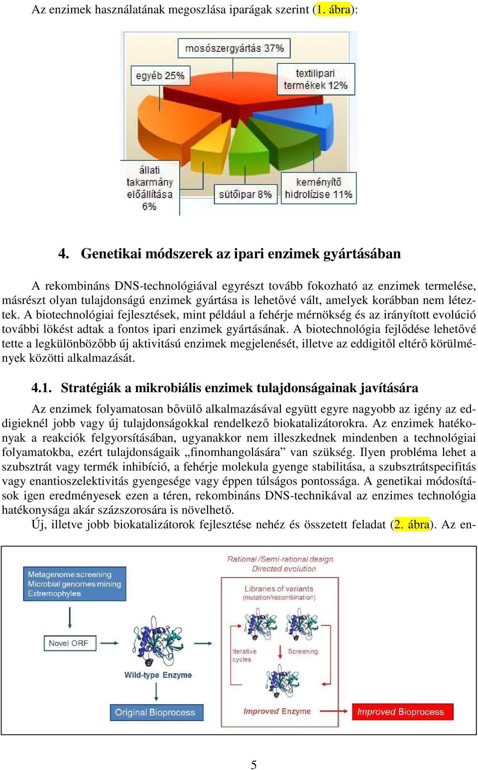 amelyek korábban nem léteztek. A biotechnológiai fejlesztések, mint például a fehérje mérnökség és az irányított evolúció további lökést adtak a fontos ipari enzimek gyártásának.