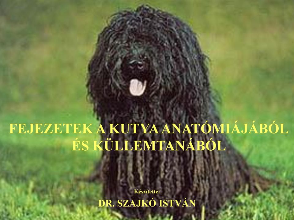 KÜLLEMTANÁBÓL