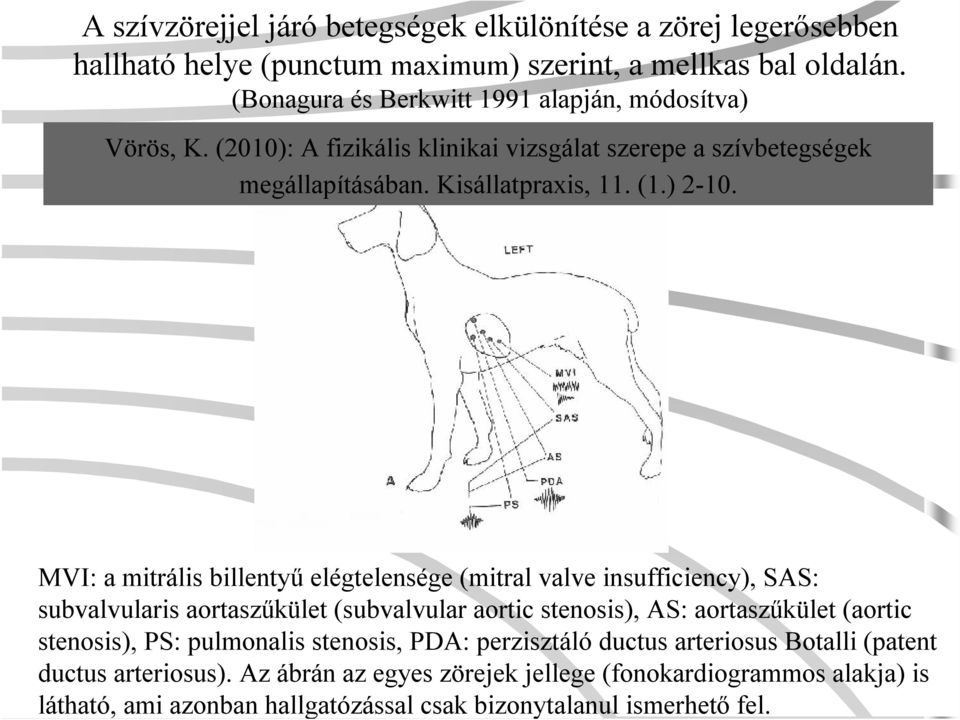 MVI: a mitrálisbillentyű elégtelensége (mitral valve insufficiency), SAS: subvalvularisaortaszűkület (subvalvular aortic stenosis), AS: aortaszűkület (aortic stenosis), PS: