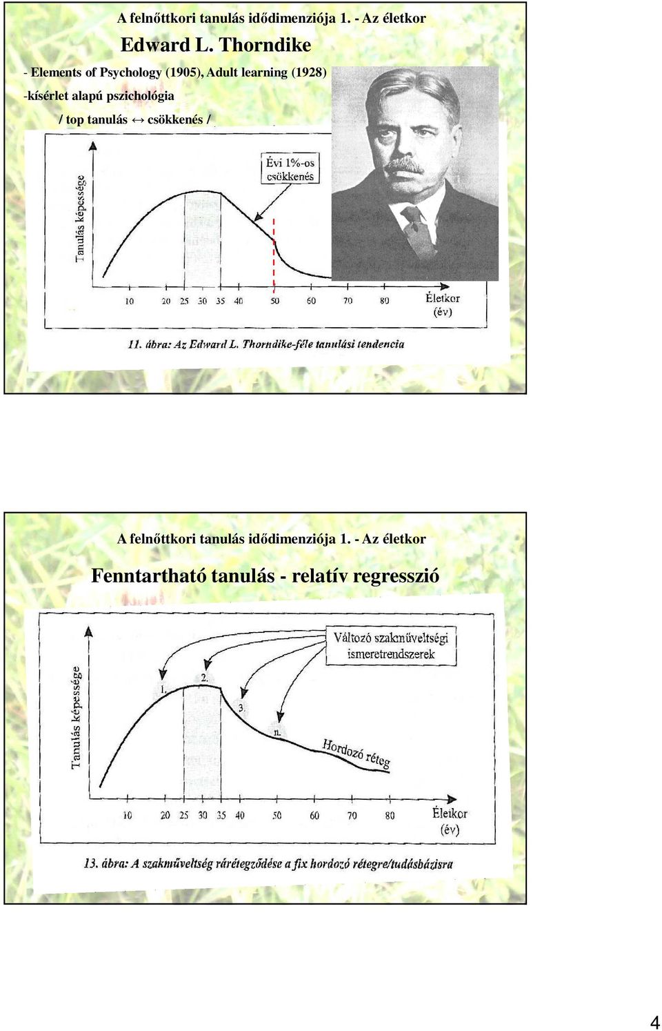 -kísérlet alapú pszichológia / top tanulás csökkenés / A felnőttkori