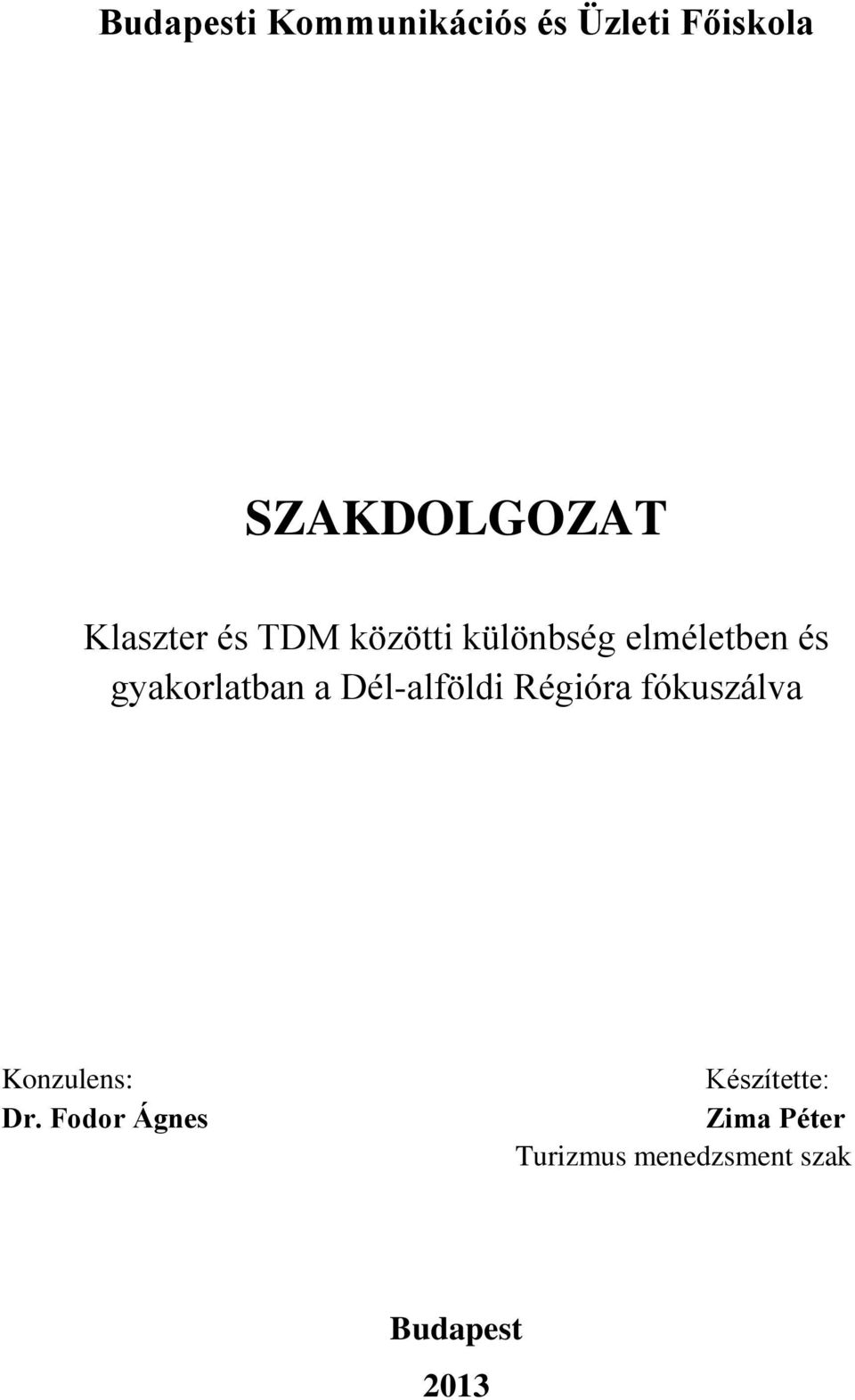 gyakorlatban a Dél-alföldi Régióra fókuszálva Konzulens: Dr.