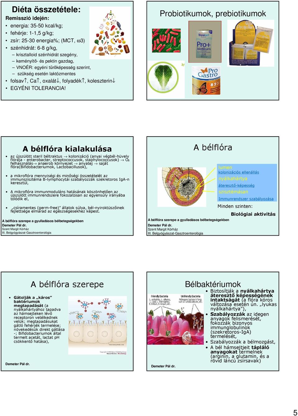 Probiotikumok, prebiotikumok A bélflóra kialakulása az újszülött steril béltraktus kolonizáció (anyai végbél-hüvely flórája - enterobacter, streptococcusok, staphylococcusok) O2 felhasználás anaerob