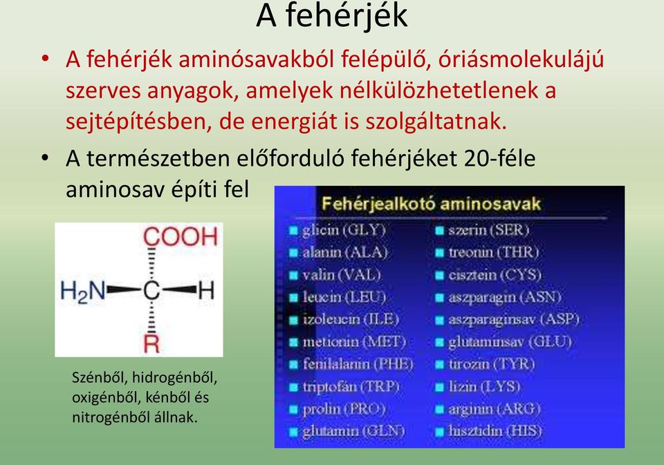 szolgáltatnak.