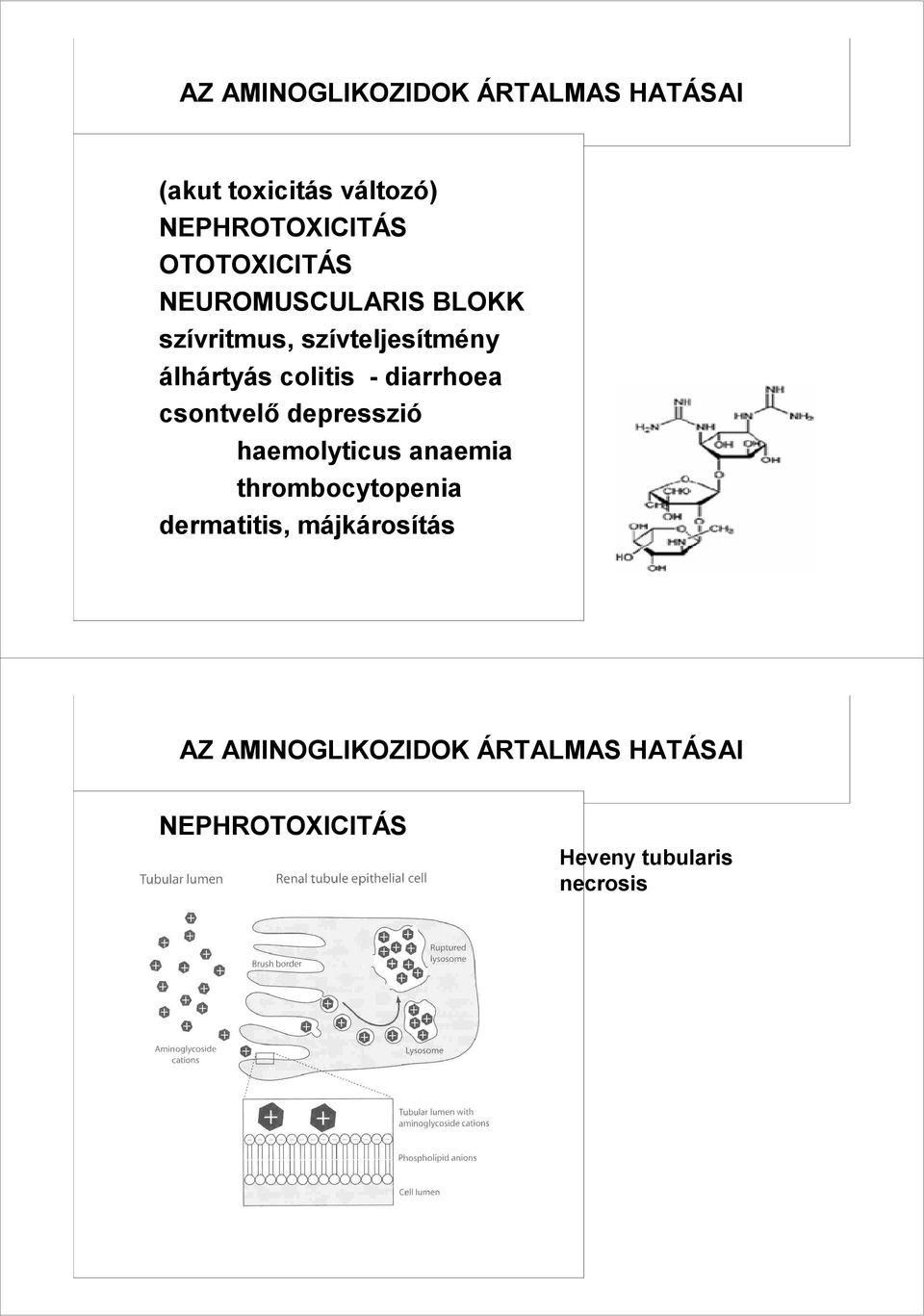 - diarrhoea csontvelı depresszió haemolyticus anaemia thrombocytopenia dermatitis,