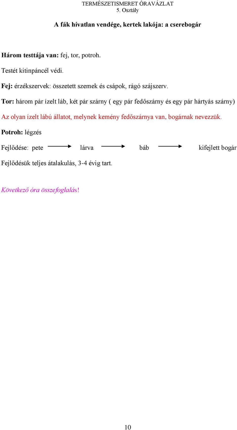 Tor: három pár ízelt láb, két pár szárny ( egy pár fedőszárny és egy pár hártyás szárny) Az olyan ízelt lábú állatot,