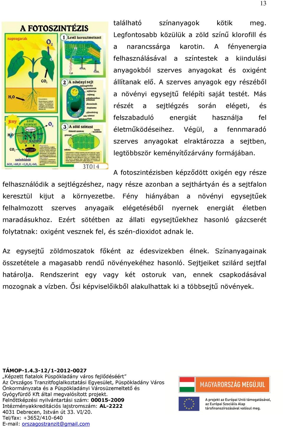 Más részét a sejtlégzés során elégeti, és felszabaduló energiát használja fel életműködéseihez. Végül, a fennmaradó szerves anyagokat elraktározza a sejtben, legtöbbször keményítőzárvány formájában.