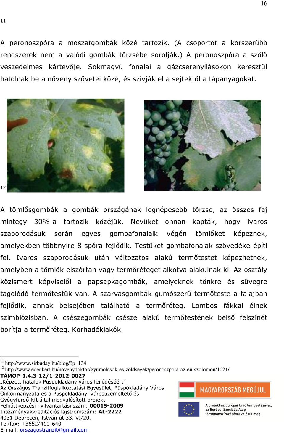 12 A tömlősgombák a gombák országának legnépesebb törzse, az összes faj mintegy 30%-a tartozik közéjük.