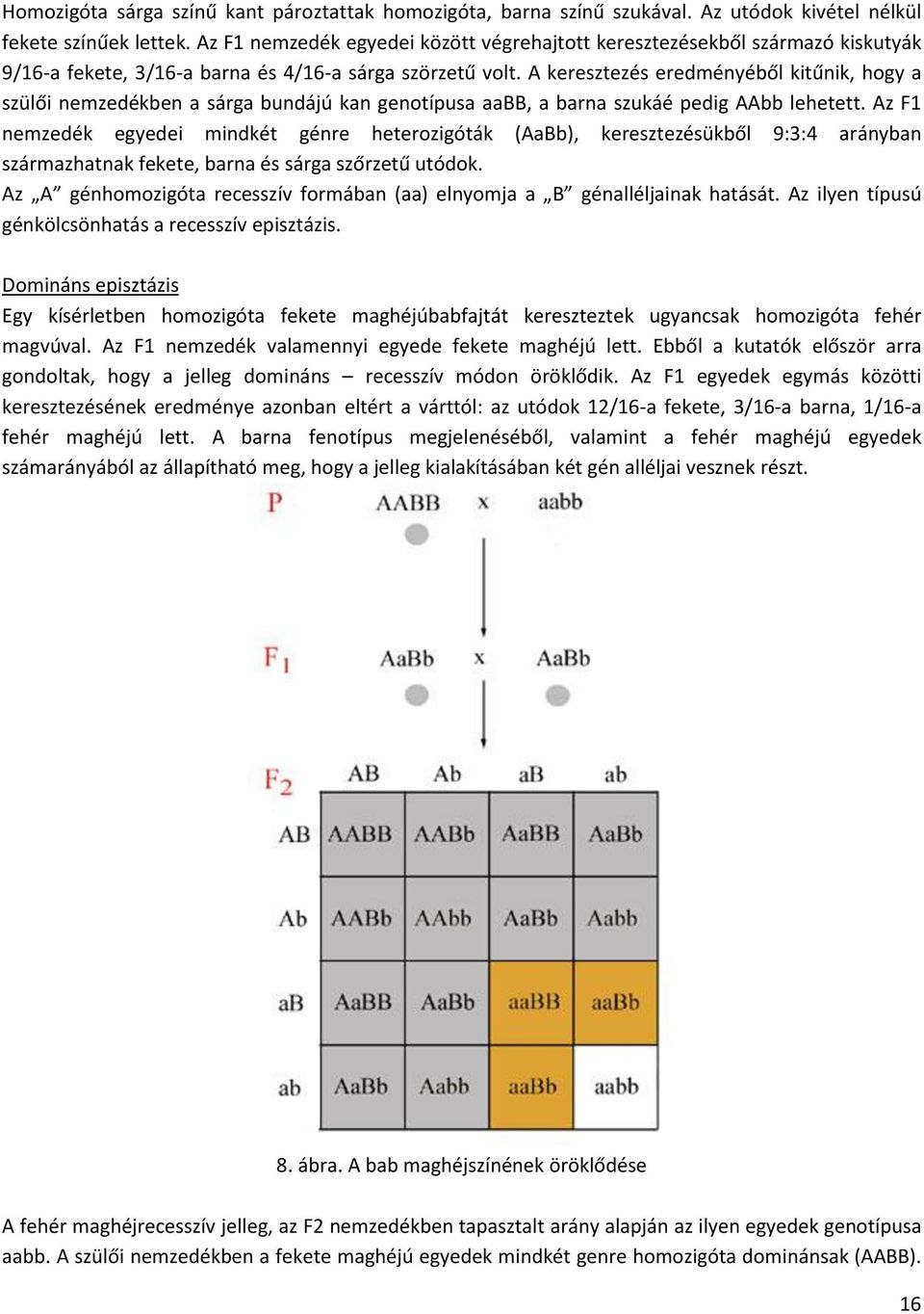 A keresztezés eredményéből kitűnik, hogy a szülői nemzedékben a sárga bundájú kan genotípusa aabb, a barna szukáé pedig AAbb lehetett.