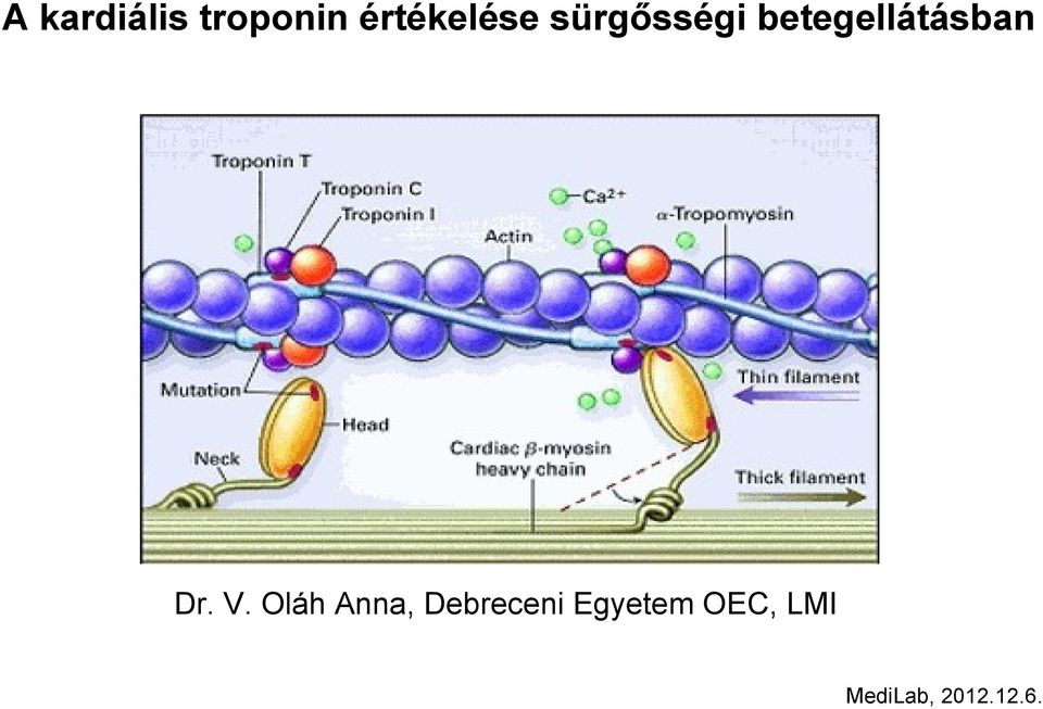 betegellátásban Dr. V.