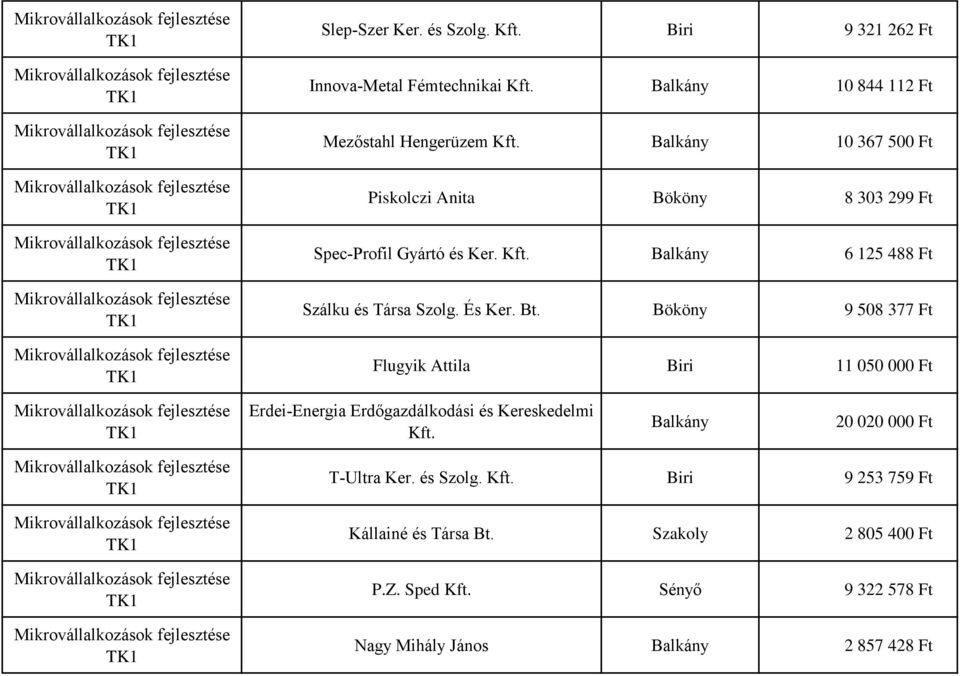 Bt. Bököny 9 508 377 Ft Flugyik Attila Biri 11 050 000 Ft Erdei-Energia Erdőgazdálkodási és Kereskedelmi Kft.