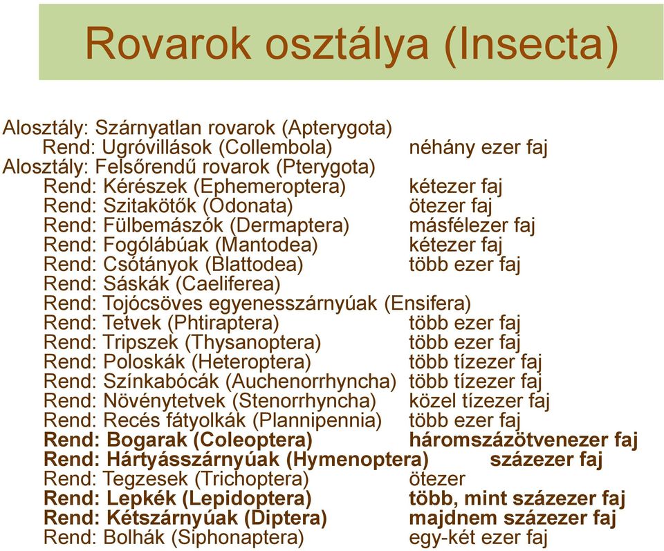 Rend: Tojócsöves egyenesszárnyúak (Ensifera) Rend: Tetvek (Phtiraptera) több ezer faj Rend: Tripszek (Thysanoptera) több ezer faj Rend: Poloskák (Heteroptera) több tízezer faj Rend: Színkabócák