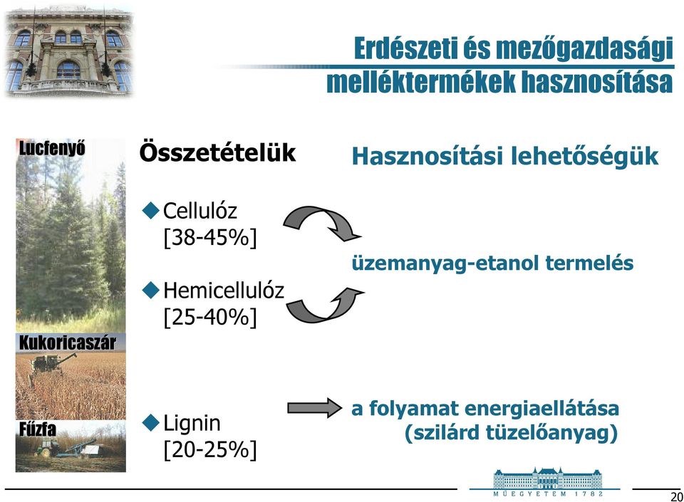 emicellulóz [25-40%] asznosítási lehetőségük üzemanyag-etanol