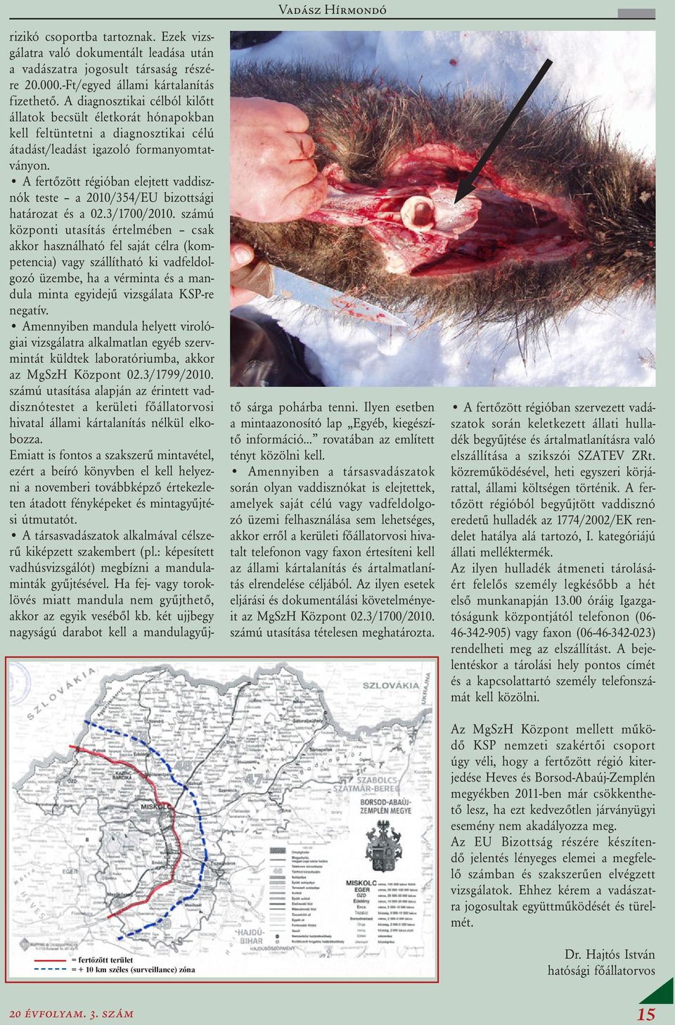 A fertőzött régióban elejtett vaddisznók teste a 2010/354/EU bizottsági határozat és a 02.3/1700/2010.