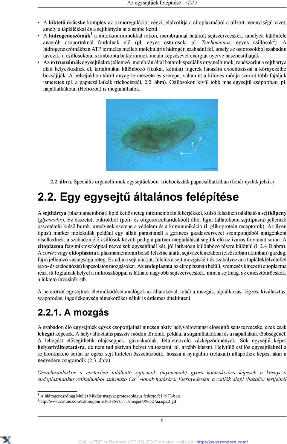 A hidrogenoszómákban ATP termelés mellett molekuláris hidrogén szabadul fel, amely az ostorosokból szabadon távozik, a csillósokban szimbionta baktériumok metán képzésével energiát nyerve