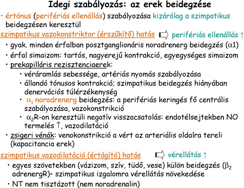 nyomás szabályozása állandó tónusos kontrakció; szimpatikus beidegzés hiányában denervációs túlérzékenység α 1 noradrenerg beidegzés: a perifériás keringés fı centrális szabályozása, vazokonstrikció