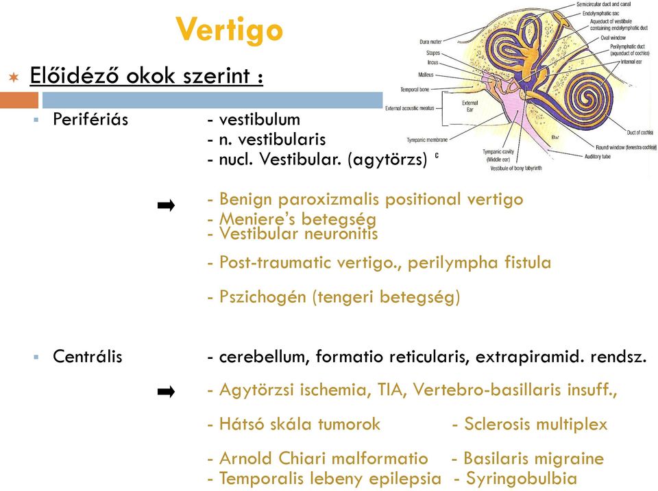 , perilympha fistula - Pszichogén (tengeri betegség) Centrális - cerebellum, formatio reticularis, extrapiramid. rendsz.