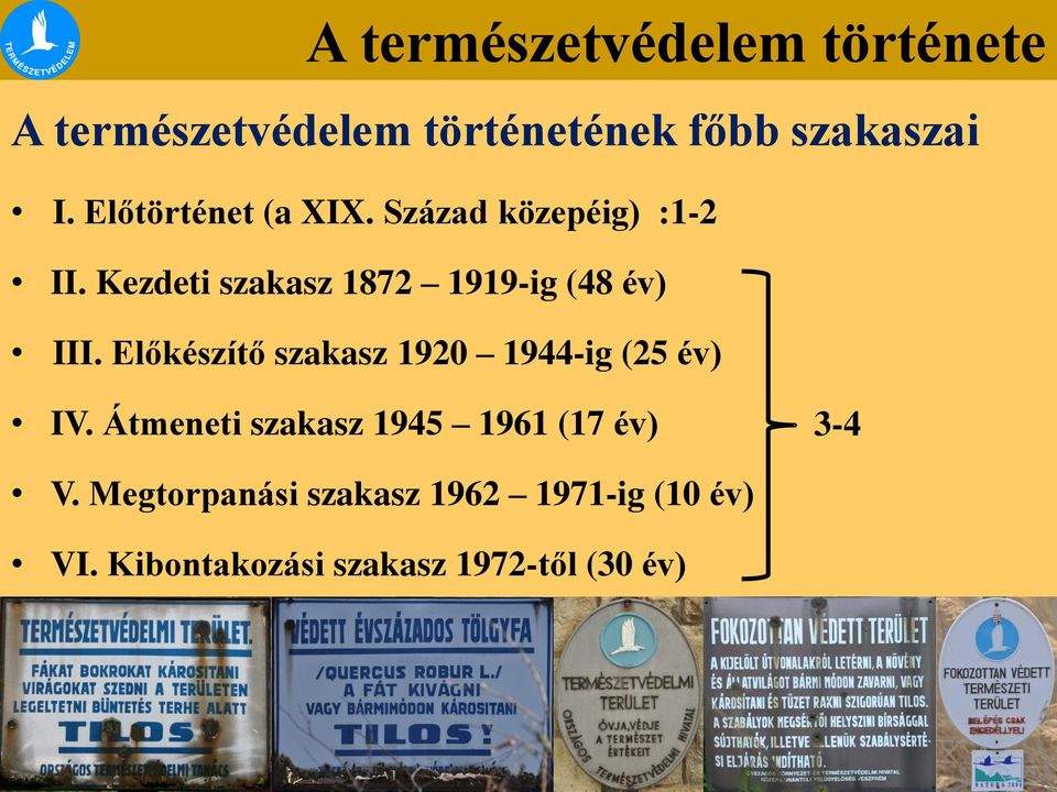 Előkészítő szakasz 1920 1944-ig (25 év) IV.