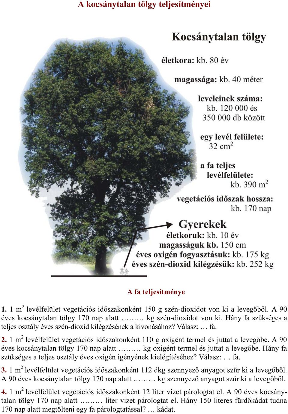 1 m 2 levélfelület vegetációs időszakonként 110 g oxigént termel és juttat a levegőbe. A 90 éves kocsánytalan tölgy 170 nap alatt kg oxigént termel és juttat a levegőbe.