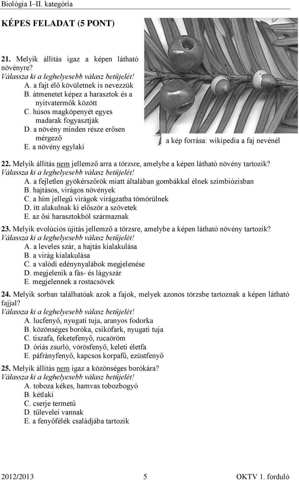 Melyik állítás nem jellemző arra a törzsre, amelybe a képen látható növény tartozik? A. a fejletlen gyökérszőrök miatt általában gombákkal élnek szimbiózisban B. hajtásos, virágos növények C.