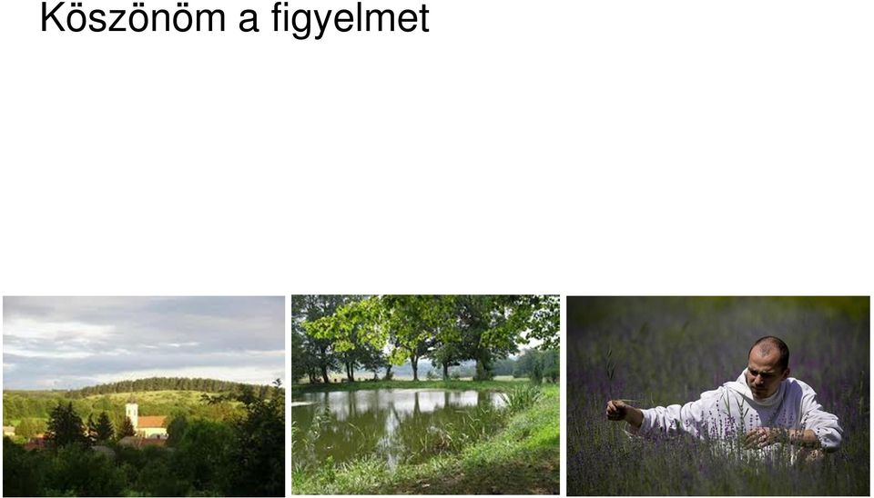 figyelmet