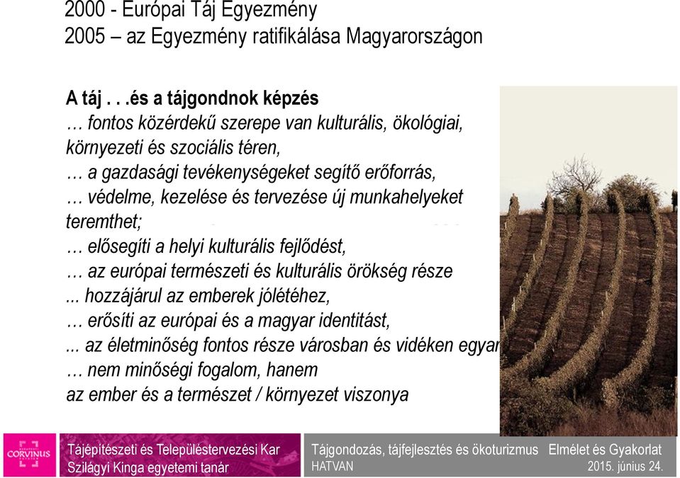 védelme, kezelése és tervezése új munkahelyeket teremthet; elősegíti a helyi kulturális fejlődést, az európai természeti és kulturális örökség része a Budapesti Corvinus