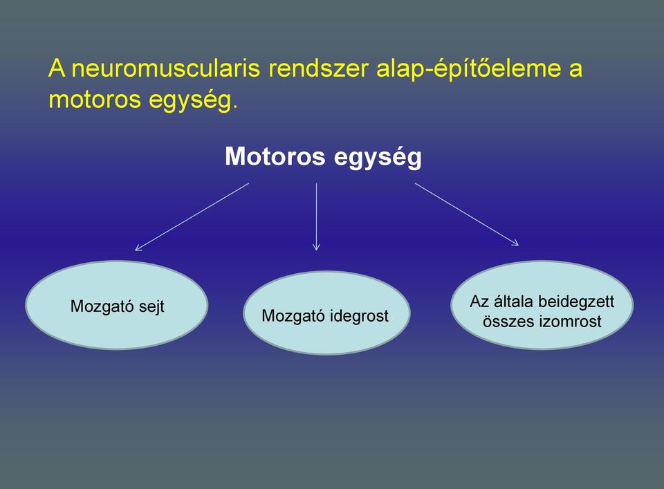 Motoros egység Mozgató sejt Mozgató