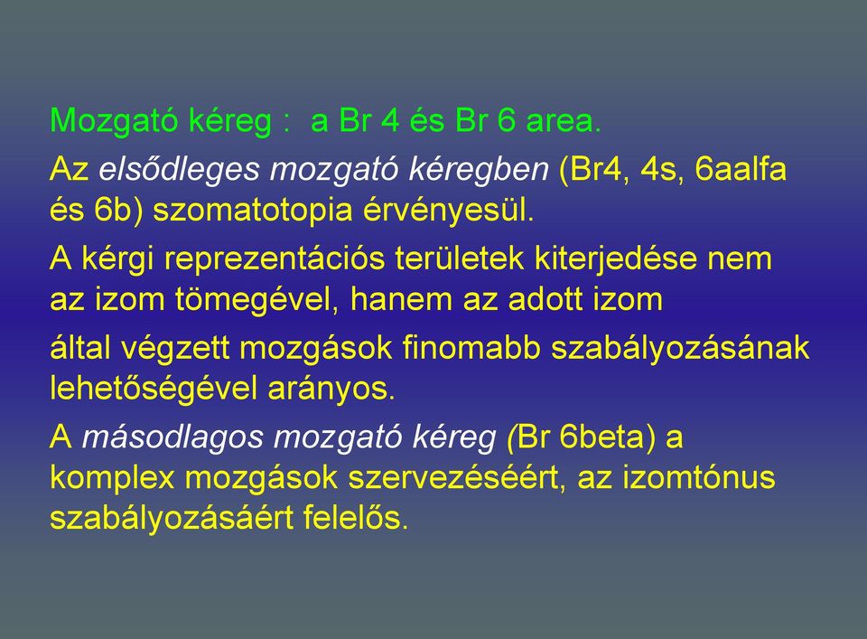 A kérgi reprezentációs területek kiterjedése nem az izom tömegével, hanem az adott izom által