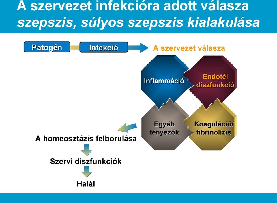 felborulása Szervi diszfunkciók Halál A szervezet válasza