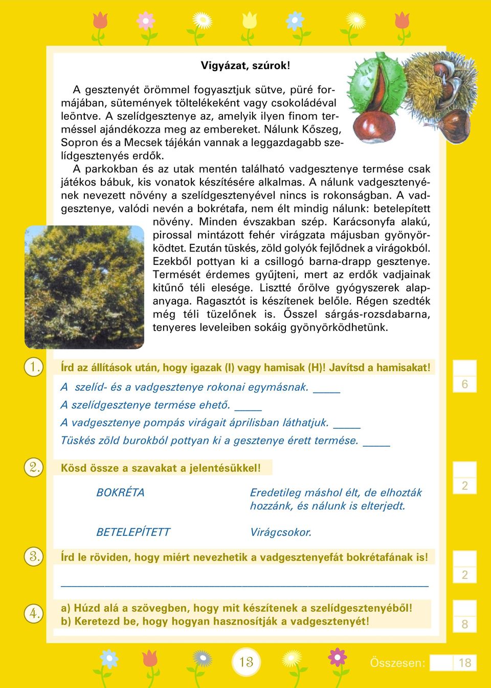 A parkokban és az utak mentén található vadgesztenye termése csak játékos bábuk, kis vonatok készítésére alkalmas. A nálunk vadgesztenyének nevezett növény a szelídgesztenyével nincs is rokonságban.