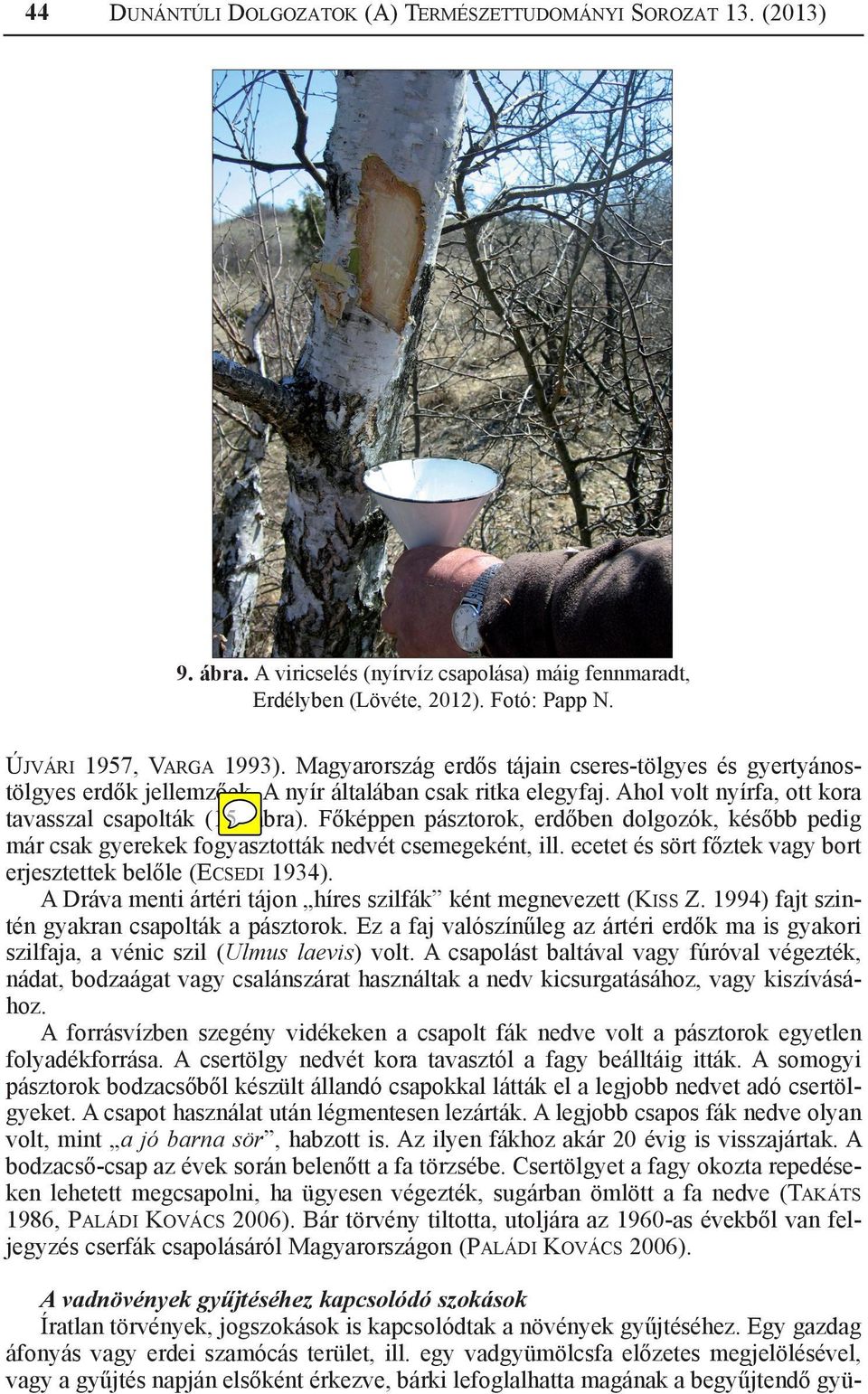 Főképpen pásztorok, erdőben dolgozók, később pedig már csak gyerekek fogyasztották nedvét csemegeként, ill. ecetet és sört főztek vagy bort erjesztettek belőle (Ecsedi 1934).