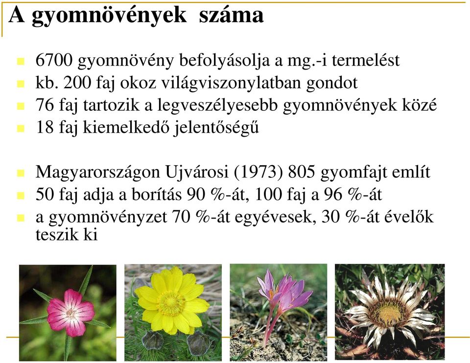közé 18 faj kiemelkedı jelentıségő Magyarországon Ujvárosi (1973) 805 gyomfajt említ 50