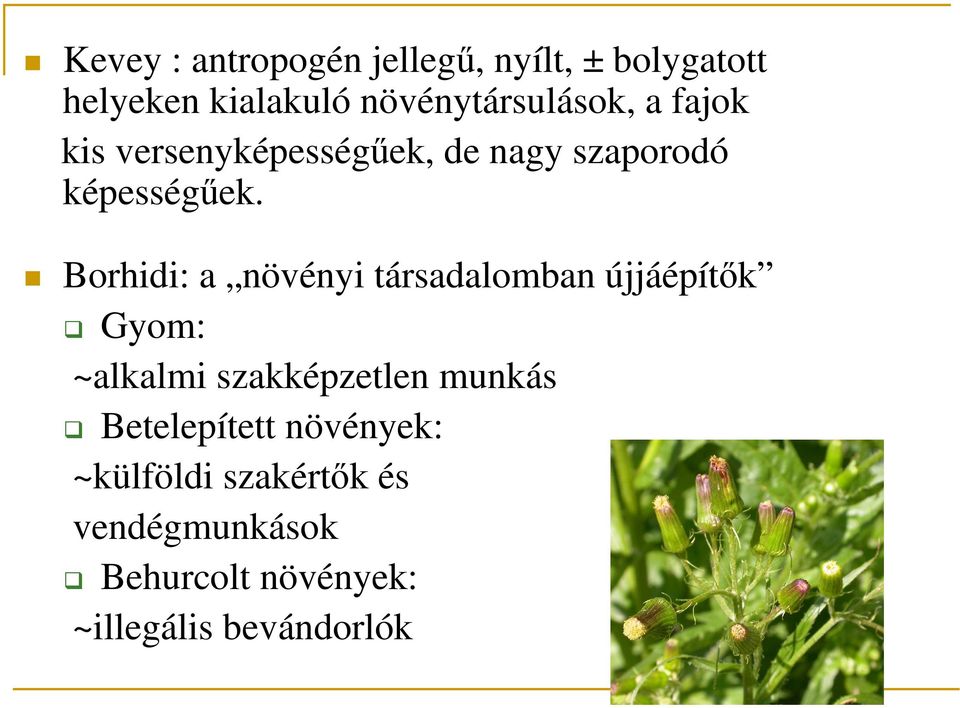 Borhidi: a növényi társadalomban újjáépítık Gyom: ~alkalmi szakképzetlen munkás