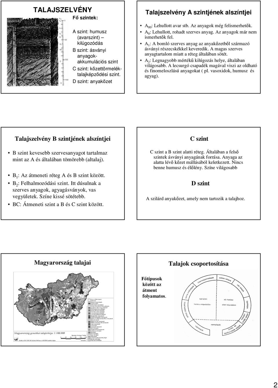 A 1 : A bomló szerves anyag az anyak zetb l származó ásványi részecskékkel keveredik. A magas szerves anyagtartalom miatt a réteg általában sötét.