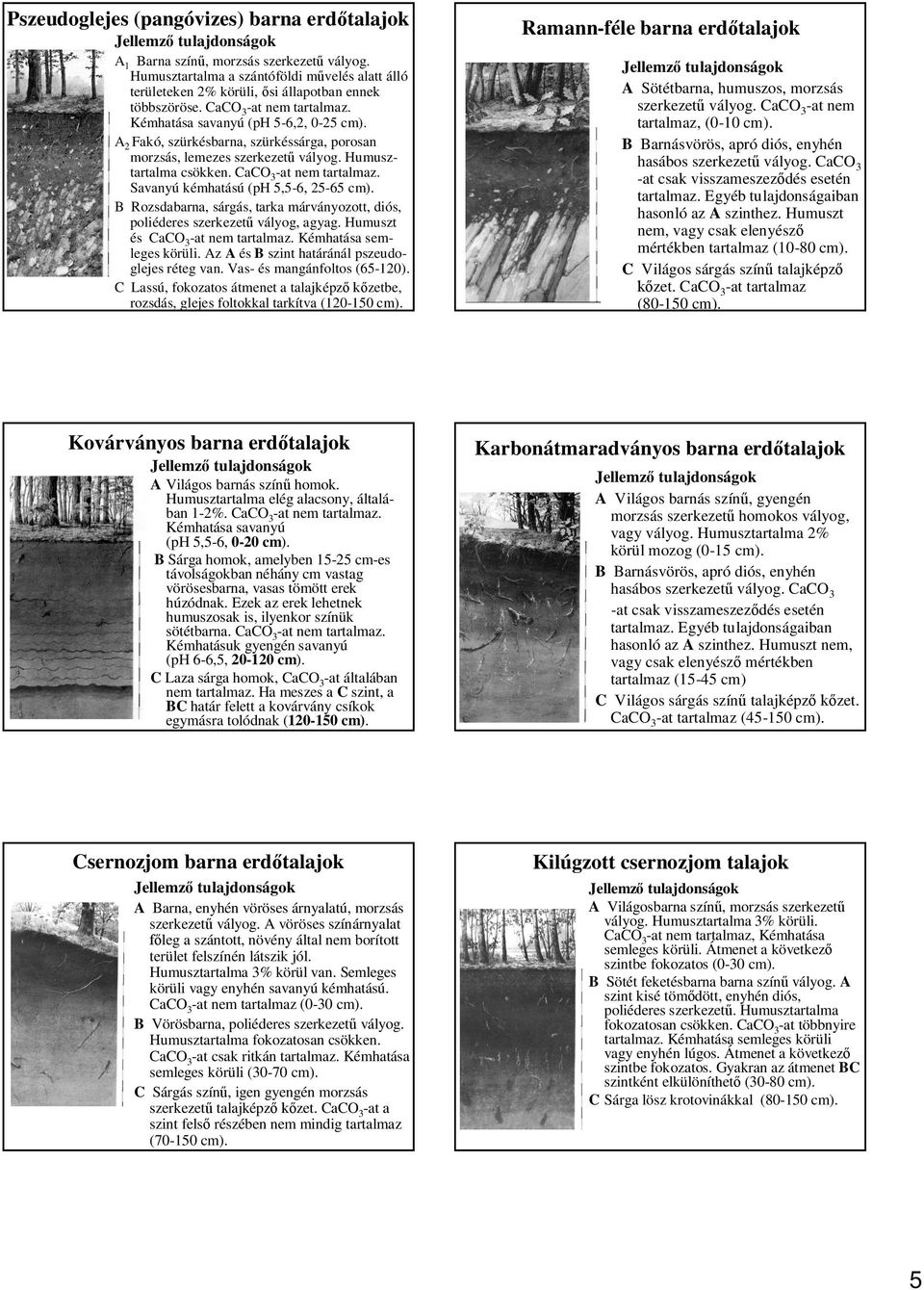 Savanyú kémhatású (ph 5,5-6, 25-65 cm). B Rozsdabarna, sárgás, tarka márványozott, diós, poliéderes szerkezet vályog, agyag. Humuszt és CaCO 3 -at nem tartalmaz. Kémhatása semleges körüli.