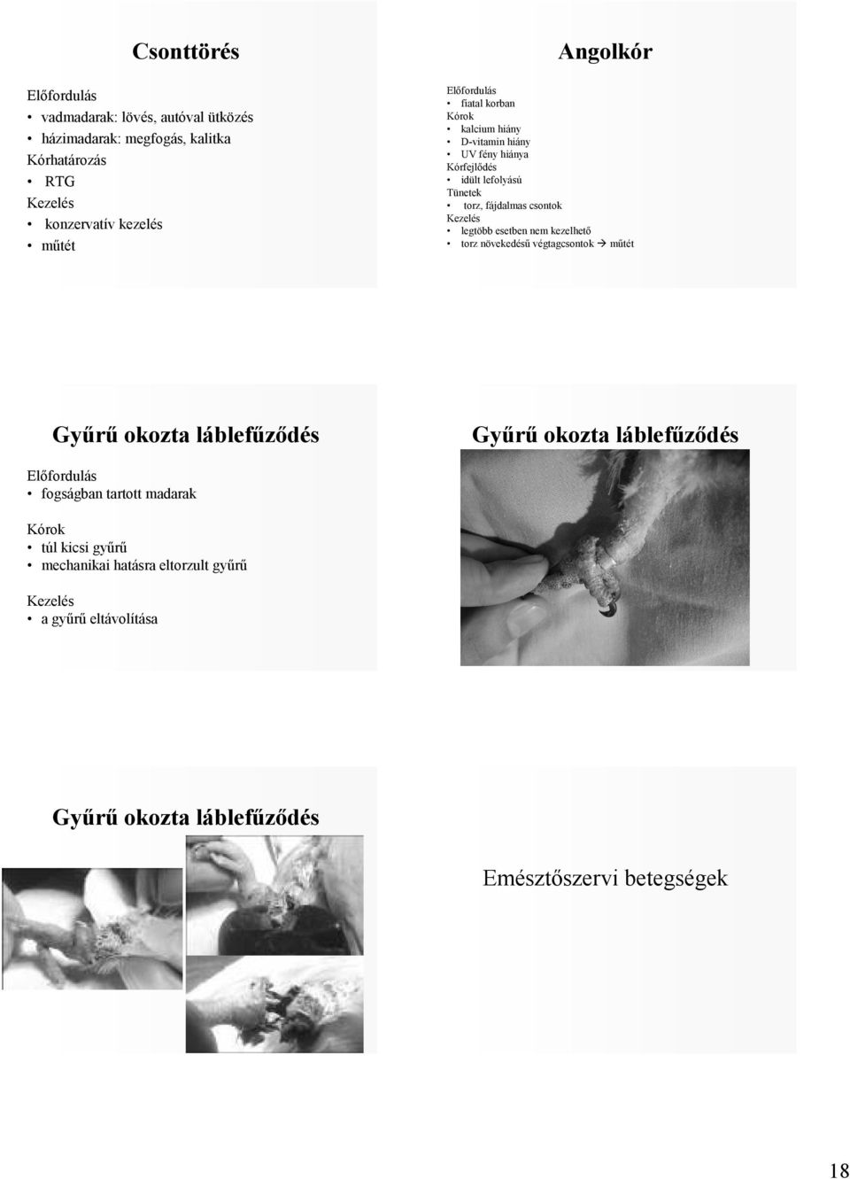 esetben nem kezelhetı torz növekedéső végtagcsontok mőtét Győrő okozta láblefőzıdés Győrő okozta láblefőzıdés fogságban tartott