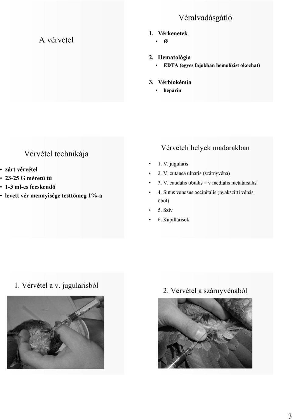 1%-a Vérvételi helyek madarakban 1. V. jugularis 2. V. cutanea ulnaris (szárnyvéna) 3. V. caudalis tibialis = v medialis metatarsalis 4.