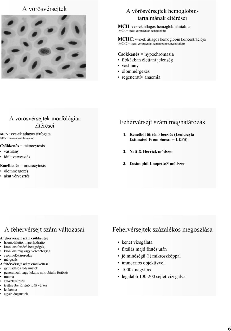 térfogata (MCV = mean corpuscular volume) Csökkenés = microcytosis vashiány idült vérvesztés Emelkedés = macrocytosis ólommérgezés akut vérvesztés Fehérvérsejt szám meghatározás 1.