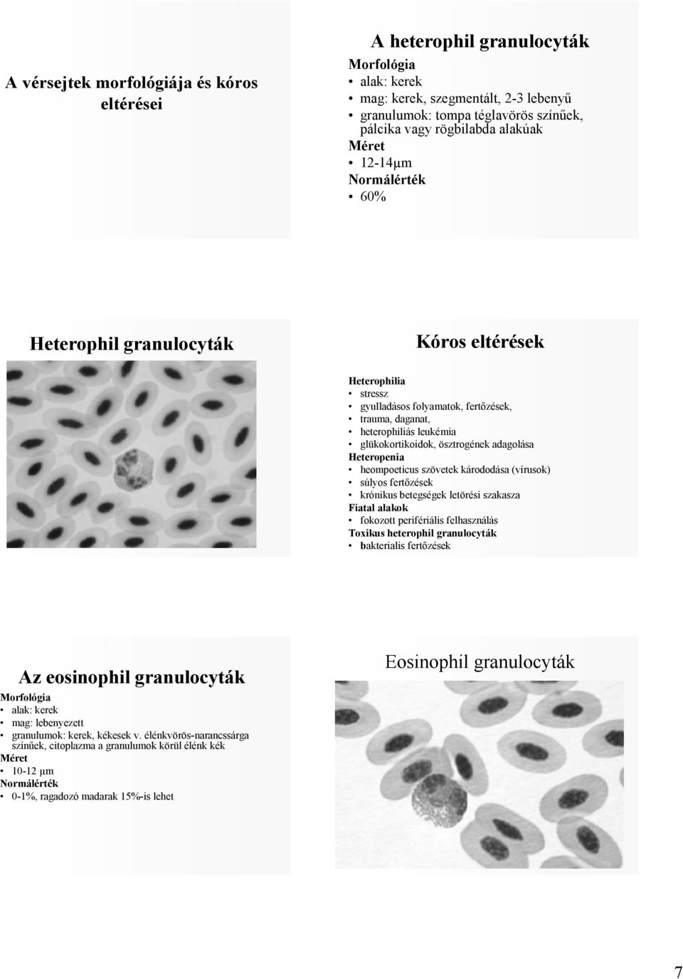 heompoeticus szövetek kárododása (vírusok) súlyos fertızések krónikus betegségek letörési szakasza Fiatal alakok fokozott perifériális felhasználás Toxikus heterophil granulocyták bakterialis