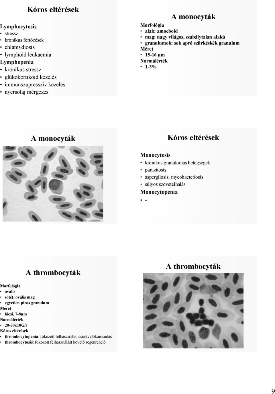 granulomás betegségek parazitosis aspergilosis, mycobacteriosis súlyos szövetelhalás Monocytopenia - A thrombocyták A thrombocyták Morfológia ovális sötét, ovális mag