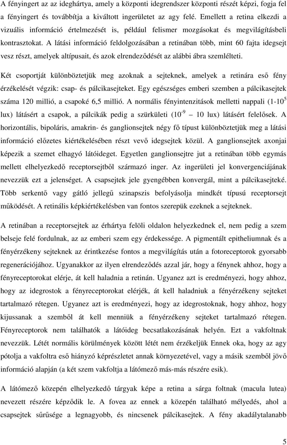 A látási információ feldolgozásában a retinában több, mint 60 fajta idegsejt vesz részt, amelyek altípusait, és azok elrendeződését az alábbi ábra szemlélteti.