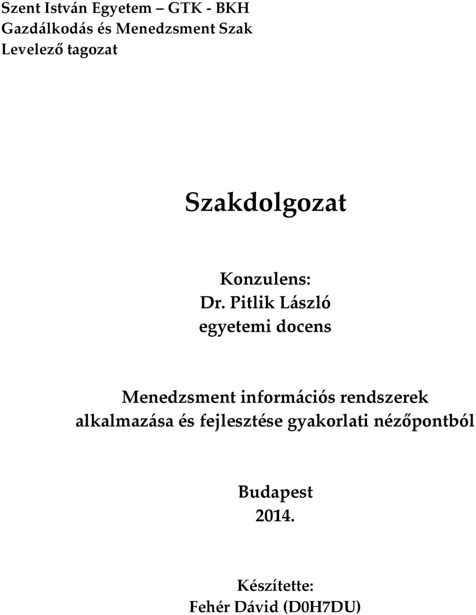 Pitlik László egyetemi docens Menedzsment információs rendszerek