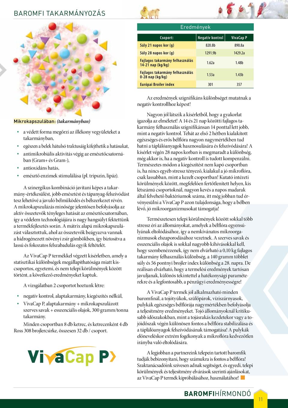 43b Európai Broiler index 301 357 Az eredmények szignifikáns különbséget mutatnak a negatív kontrollhoz képest!