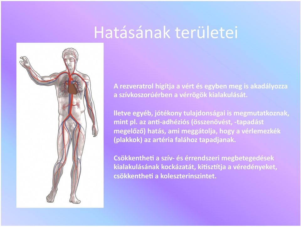 az ans adhéziós (összenövést, tapadást megelőző) hatás, ami meggátolja, hogy a vérlemezkék (plakkok) az artéria