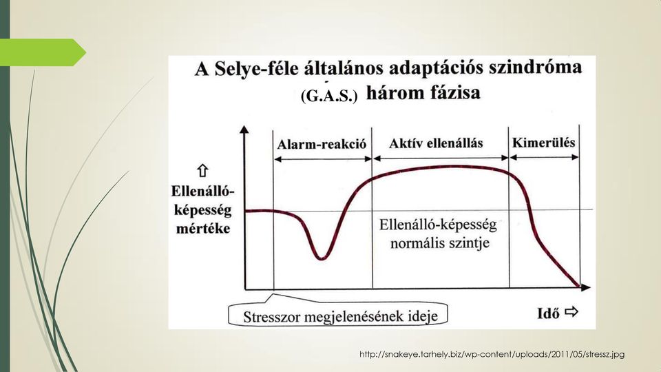 tarhely.